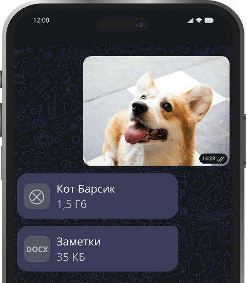Отправка и получение Изображений, Видео, Документов и Файлов до 100Мб